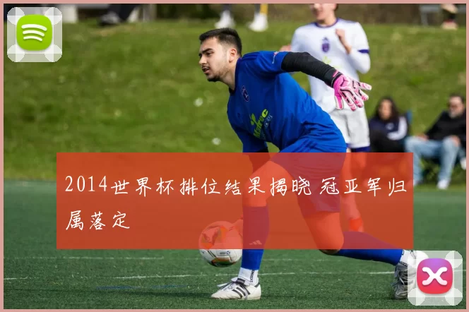 2014世界杯排位结果揭晓 冠亚军归属落定