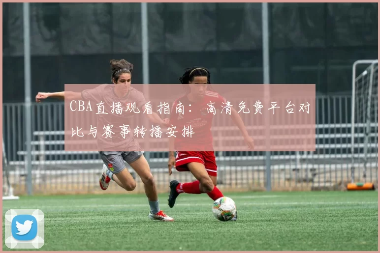 CBA直播观看指南：高清免费平台对比与赛事转播安排