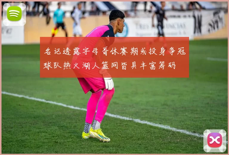 名记透露字母哥休赛期或投身争冠球队热火湖人篮网皆具丰富筹码