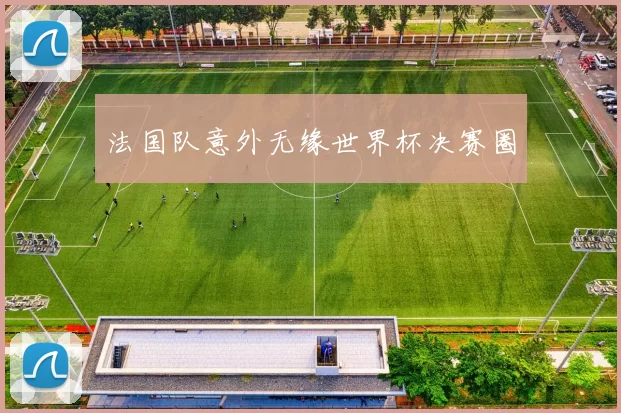 法国队意外无缘世界杯决赛圈