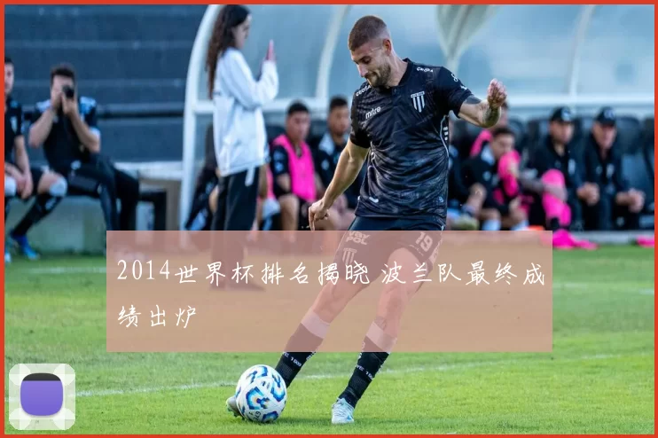 2014世界杯排名揭晓 波兰队最终成绩出炉