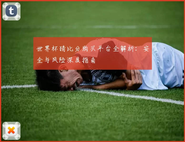 世界杯猜比分购买平台全解析：安全与风险深度指南