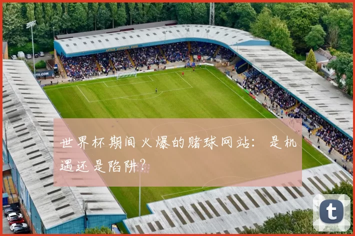 世界杯期间火爆的赌球网站：是机遇还是陷阱？