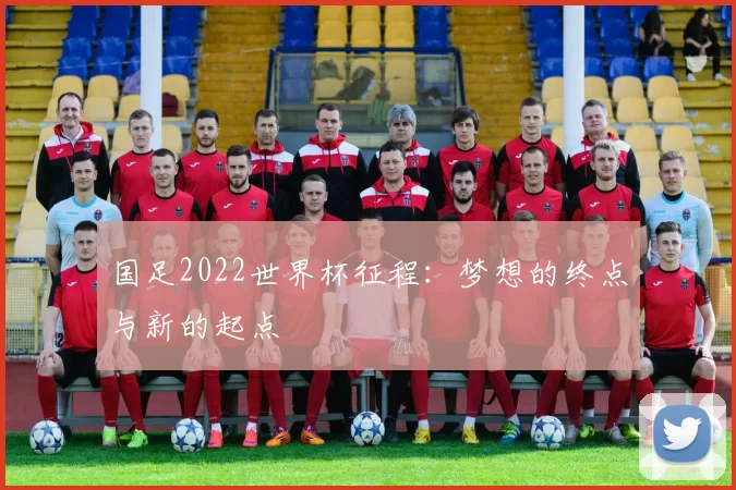 国足2022世界杯征程：梦想的终点与新的起点