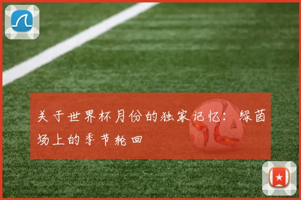 关于世界杯月份的独家记忆:绿茵场上的季节轮回