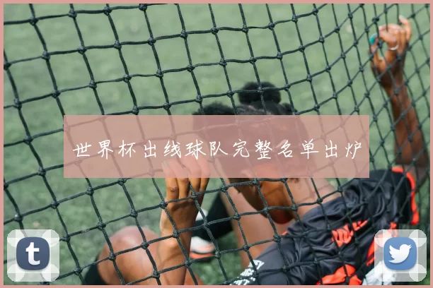 世界杯出线球队完整名单出炉