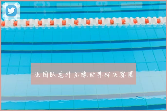 法国队意外无缘世界杯决赛圈