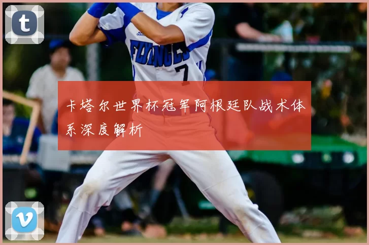 卡塔尔世界杯冠军阿根廷队战术体系深度解析