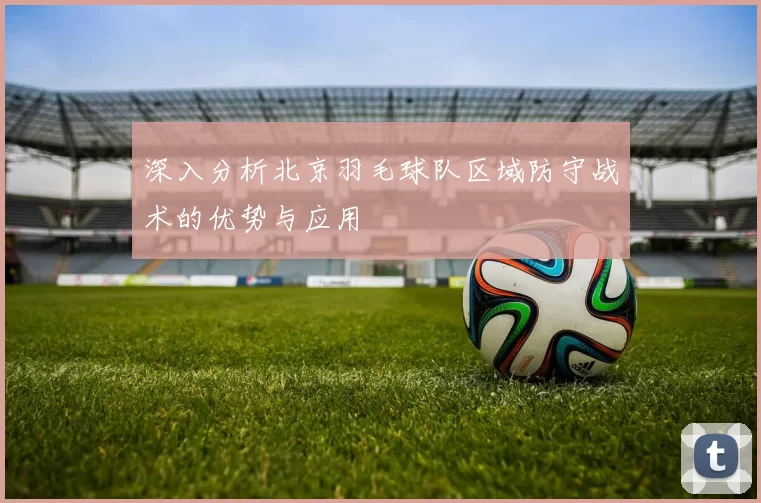 深入分析北京羽毛球队区域防守战术的优势与应用